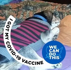 Meet your Posher, June